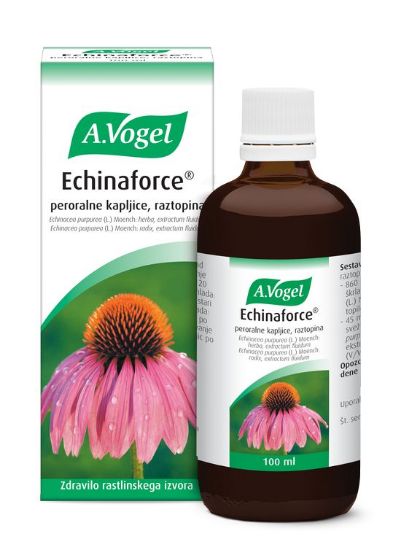 Echinaforce kapljice 100 ml