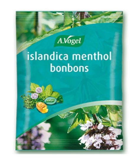 ia_vogel slandica menthol